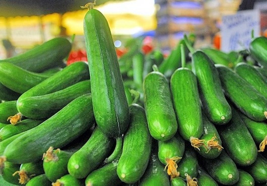 Salatalığın faydaları saymakla bitmez