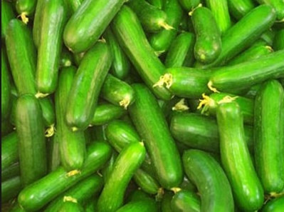 Salatalığın faydaları saymakla bitmez