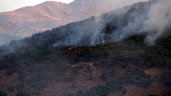 Tunceli ve Nusaybin’de orman yangınları