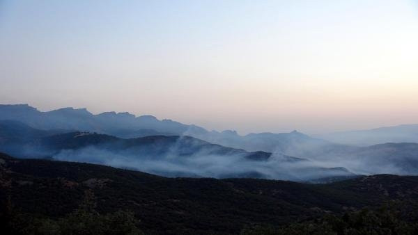 Tunceli ve Nusaybin’de orman yangınları