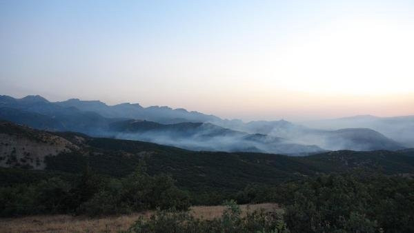 Tunceli ve Nusaybin’de orman yangınları