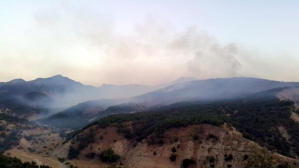 Tunceli ve Nusaybin’de orman yangınları