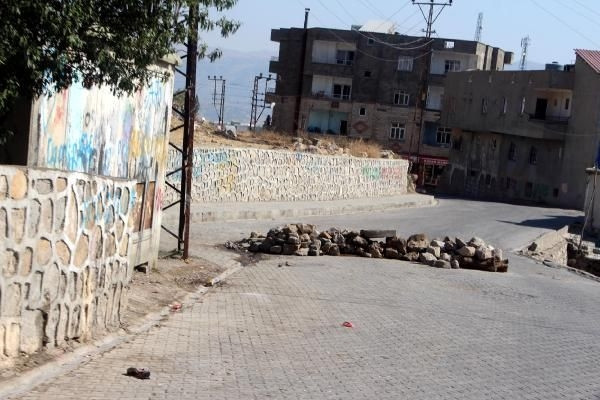 Şırnak'ta 'özerklik' açıklaması operasyonu: 3 gözaltı