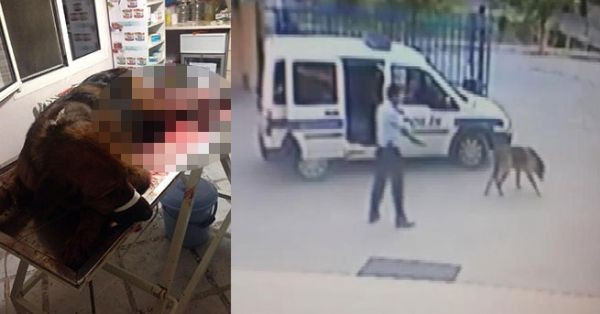 Bu kez bir kadının ölümüne neden oldu!