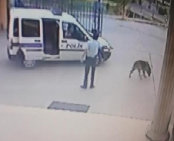 Bu kez bir kadının ölümüne neden oldu!