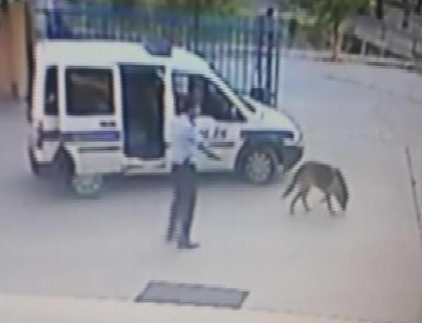 Bu kez bir kadının ölümüne neden oldu!
