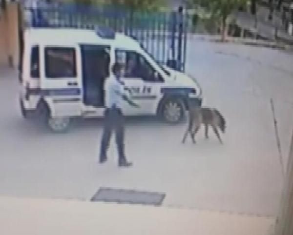 Bu kez bir kadının ölümüne neden oldu!
