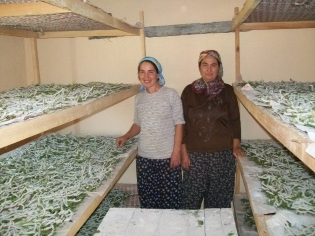 Evlerinde böcek yetiştirerek 5 bin lira kazandılar