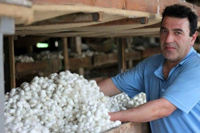 Evlerinde böcek yetiştirerek 5 bin lira kazandılar
