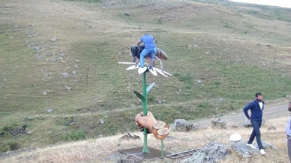 5 kilo bal verdi