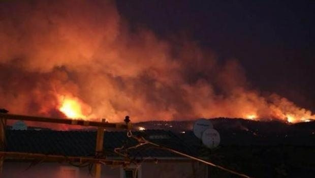 Bursa'da korkutan orman yangını