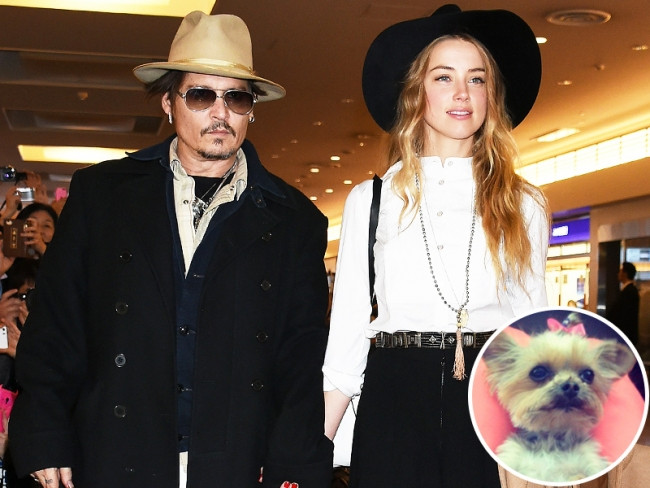 Johnny Depp: "Köpeklerimi öldürüp yedim"
