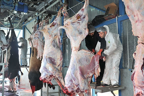 Kurban keserken hijyene dikkat