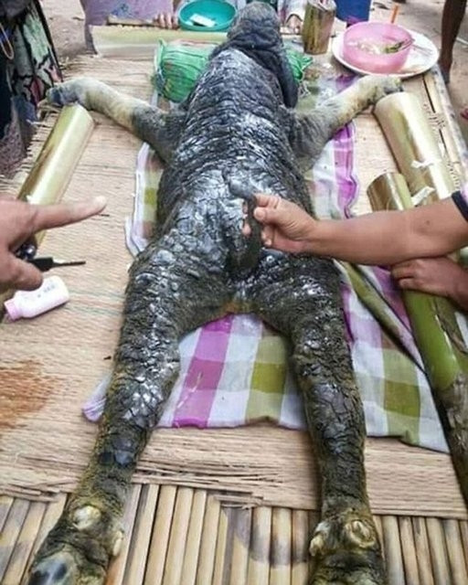 Tayland'da yaşanan olay dünyayı şaşkına çevirdi!