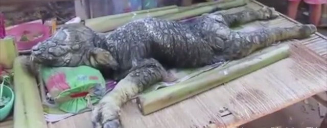 Tayland'da yaşanan olay dünyayı şaşkına çevirdi!