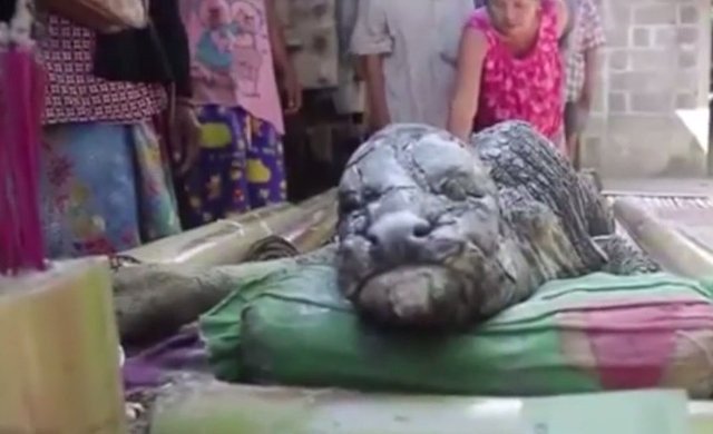 Tayland'da yaşanan olay dünyayı şaşkına çevirdi!