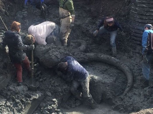 Çiftçinin sıra dışı bir keşfi