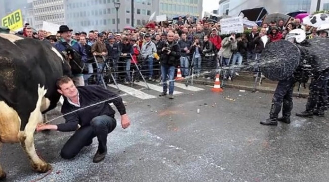 Dünyanın en ilginç protestoları