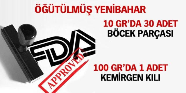 Günde kaç böcek yiyorsunuz?