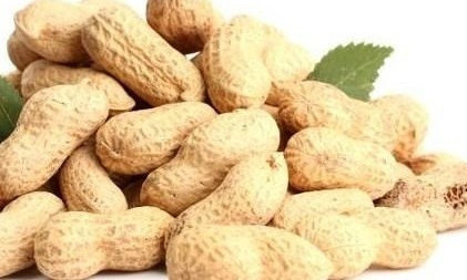 Yer fıstığının faydaları nelerdir