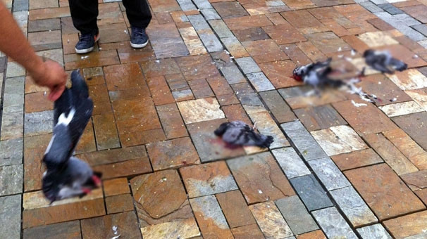 İzmir'de kızdıran olay