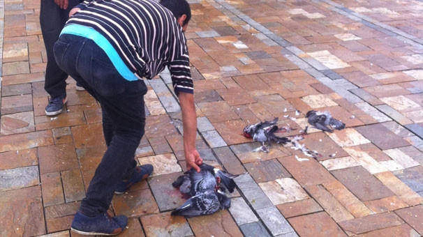İzmir'de kızdıran olay
