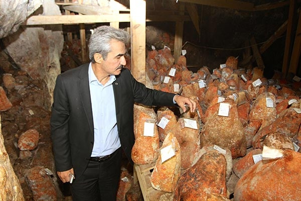 "Türk rokforu" lezzetini mağaradan alıyor