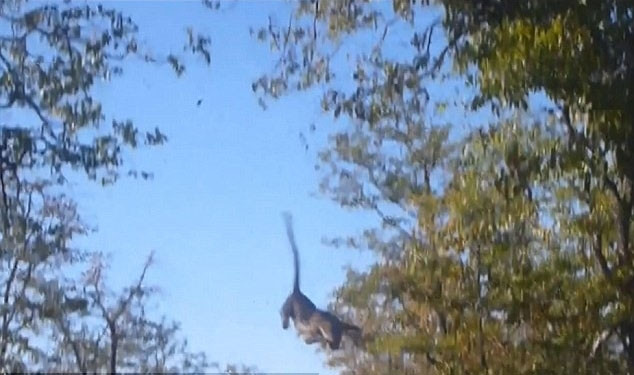 Doğada 'işte o anlar'