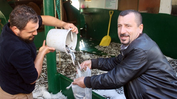 Kilosu 1 liradan satılan hamsiye yoğun ilgi
