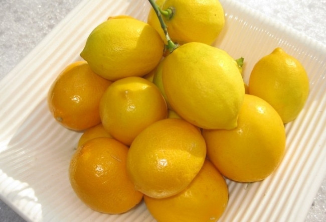 Donmuş limon mucizesi