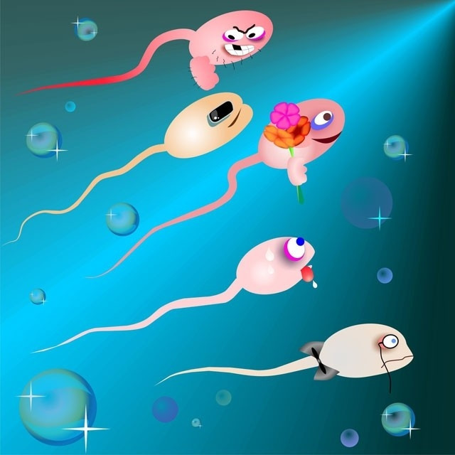 Bu besinler sperm sayısını ve kalitesini arttırıyor
