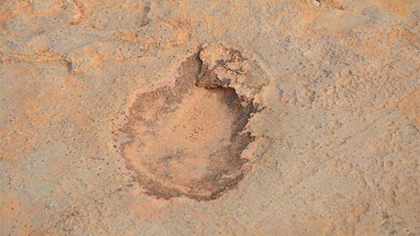 Tunus'ta dinozorların ayak izleri bulundu