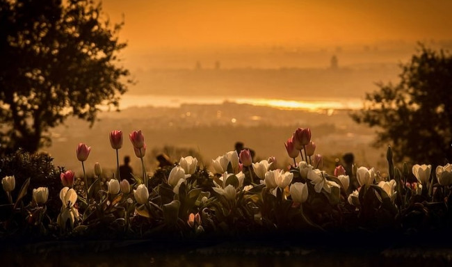 İstanbul'un Simgeleri adlı fotoğraf yarışması sonuçlandı