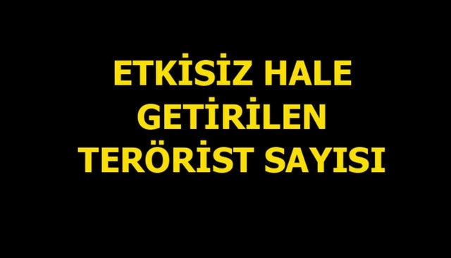 Güneydoğu'daki terör operasyonlarının bilançosu