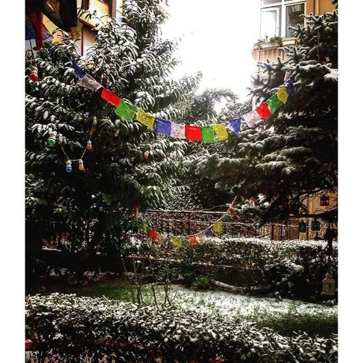 Instagram'da kar fotoğrafları