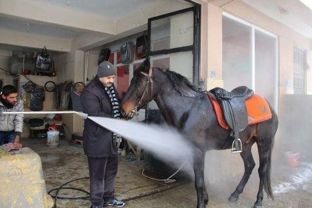 Yurdum insanlarından ilginç fikirler