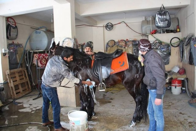 Yurdum insanlarından ilginç fikirler