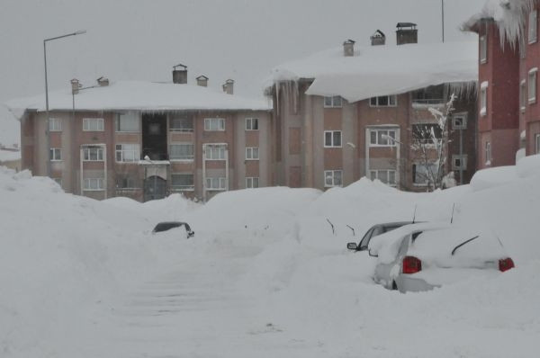 Bitlis'te evler kara gömüldü