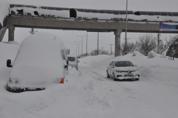 Bitlis'te evler kara gömüldü