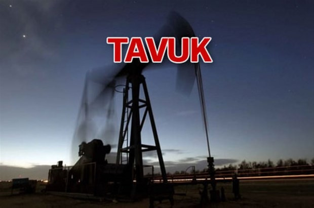 Petrol ve altın rezervi tespit edilen noktalar