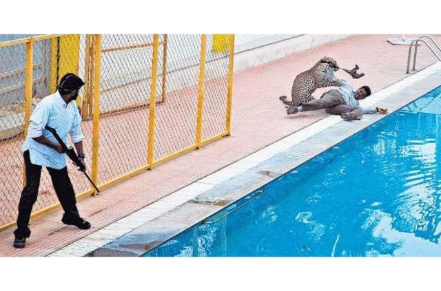 Okula giren leopar 6 kişiyi yaraladı