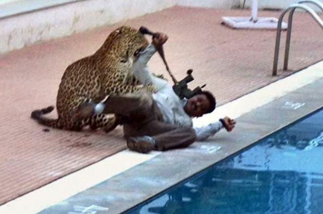 Okula giren leopar 6 kişiyi yaraladı