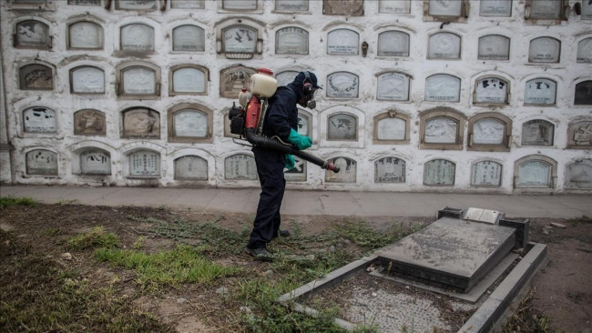 Zika Virüsü belirtileri neler?