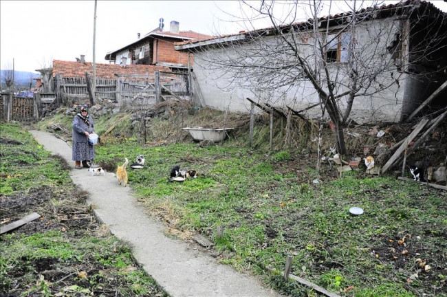 Kediler aç kalır diye köyü bırakmıyor!