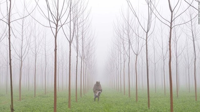 2016'nın en iyi seyahat fotoğrafları!