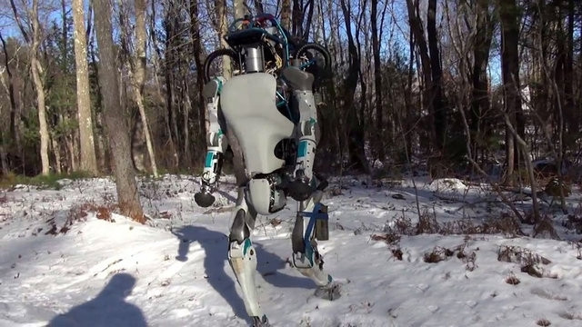 En akıllı robotlar