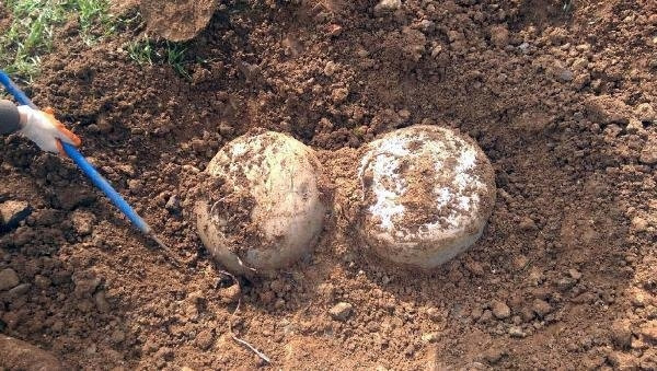 Silvan'da PKK'nın cephaneliği ele geçirildi