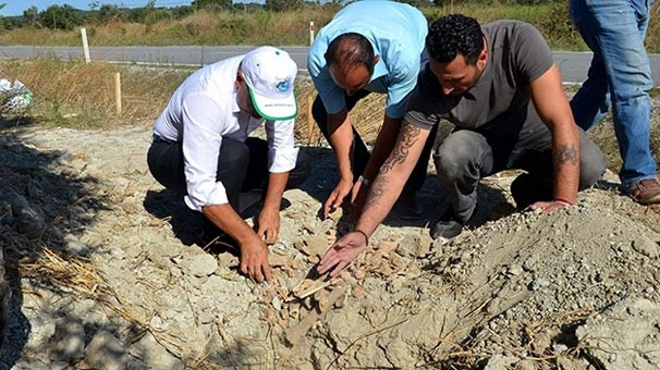 Çanakkale'de bir asır sonra şehitlik bulundu