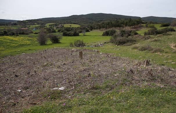 Çanakkale'de bir asır sonra şehitlik bulundu