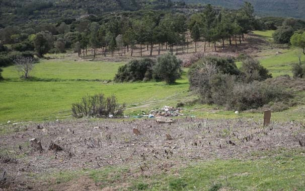Çanakkale'de bir asır sonra şehitlik bulundu